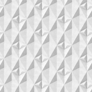 3D 55